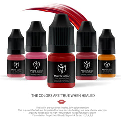 New Generation Micro Color Set Permanent Makeup Pigment Optimized Formula for Lip Blush Machine